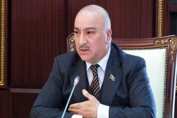 "Nə gecəmiz, nə də gündüzümüz var" - Deputat ağcaqanadlardan şikayətləndi