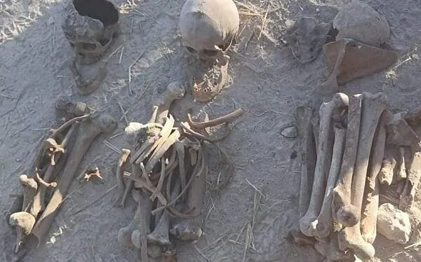 Qubadlı və Zəngilanda insan qalıqları ekshumasiya edildi