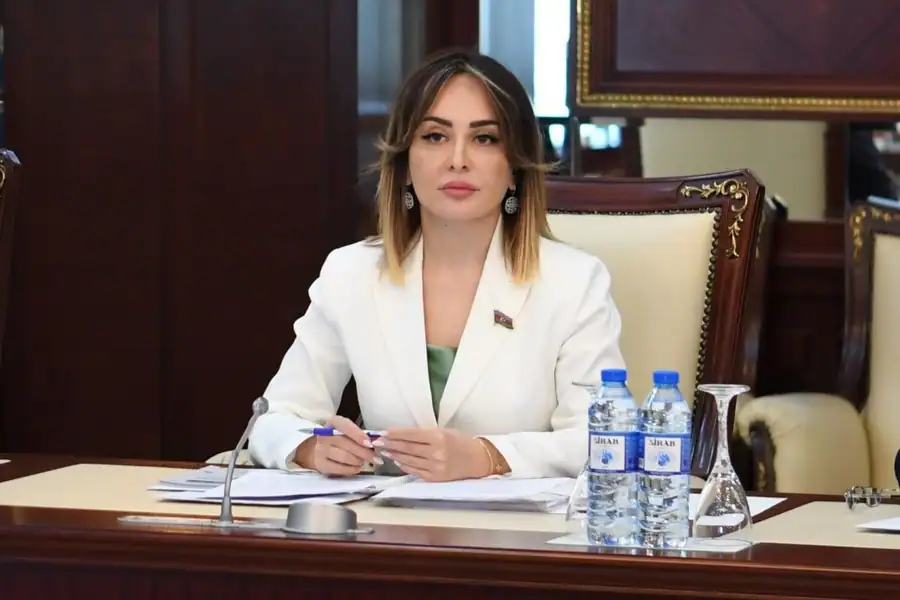 Deputat: Pulsuz hüquqi yardımın ayrıca qanunla tənzimlənməsi mühüm əhəmiyyət daşıyır
