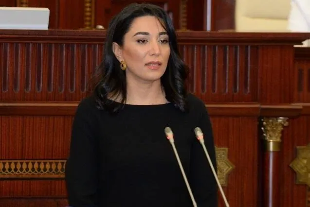 Ermənistanın cinayətləri ilə bağlı monitorinqlər aparılır